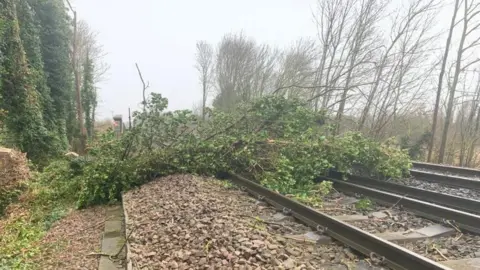 Southeastern A tree on rail tracks