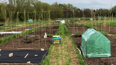 BBC gardening plots