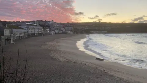 South West Coastal Monitoring Beach pic