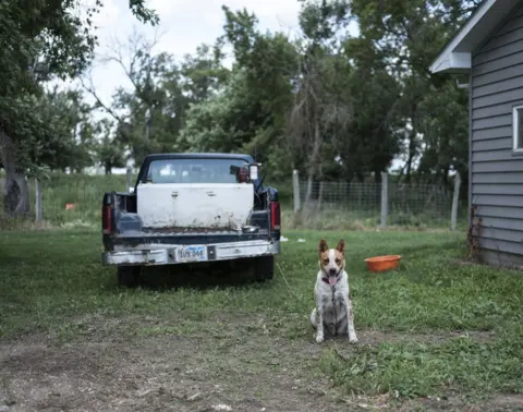 Martin Eberlen A dog tied up to a van