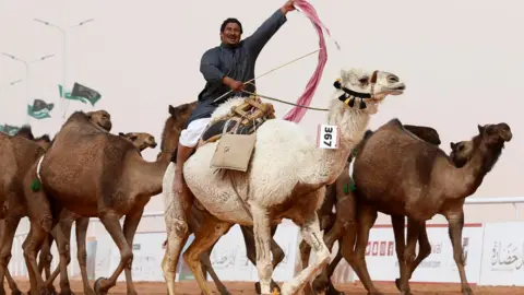 Reuters A man cheers as he rides a camel during King Abdulaziz Camel Festival in Rimah Governorate, north-east of Riyadh, Saudi Arabia January 19, 2018