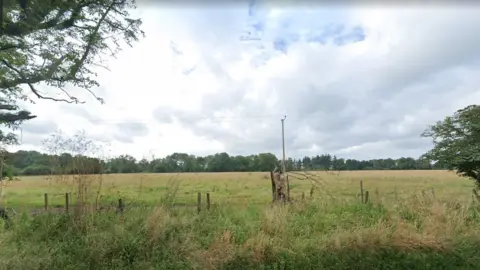 Google Lane at Bloomfield Hatch Farm