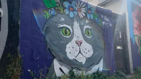 Christian Fuller/BBC Street art om Brighton