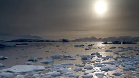 BAS North Cove, Rothera Research Station. Pieces of ice floating on the ocean as the sun sets.