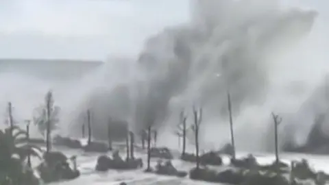 Huge wave going over trees