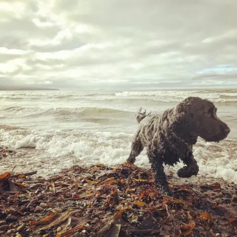 Amy Galbraith Prestwick beach