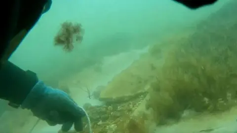 English Heritage NW96