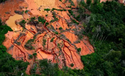 Christian Braga/Greenpeace Devastation caused by illegal mining in the Amazon