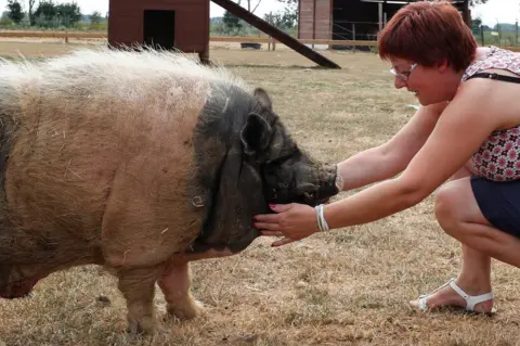 Reuters Valerie Luycx with Pastis, a 10-year-old Vietnamese pig