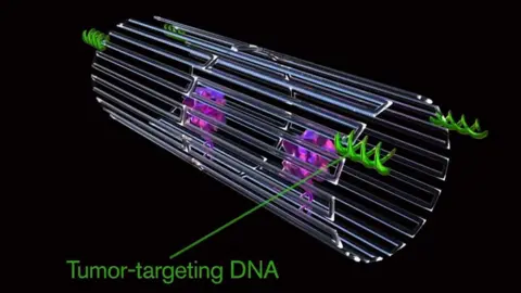 ASU Biodesign Institute Graphic of polymer nanobot with cancer-targeting DNA