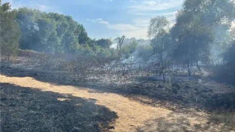 Essex County Fire and Rescue Service Smoke continues to billow from an extinguished field fire near the M25 in Essex