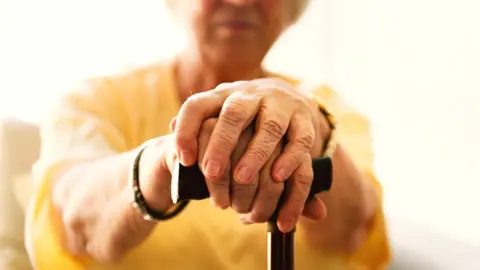 Getty Images walking stick