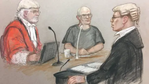 Julia Quenzler Russell Bishop in the witness stand, being questioned by Joel Bennathan QC in front of Mr Justice Sweeney