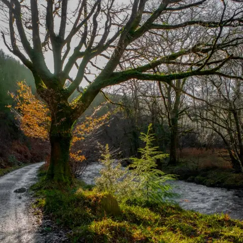 Paul Moody By the River Teign in Fingle Woods, Devon