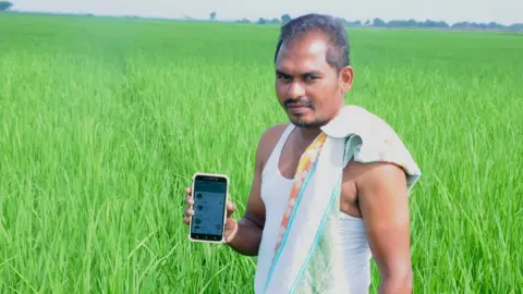 Peat Rice farmer Voruganti Surendra in paddy field
