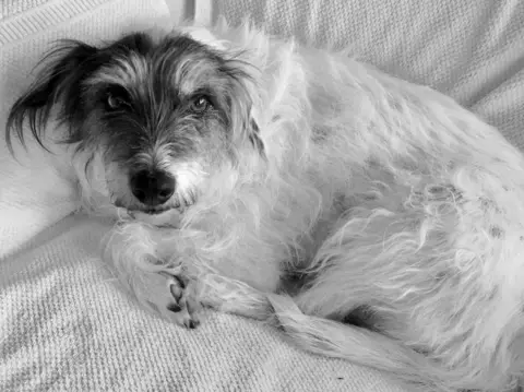 Roseanne Bateman A dog