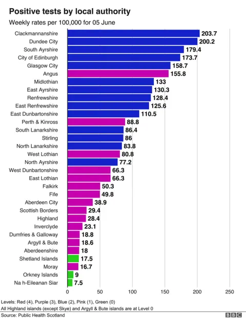 positive test rates