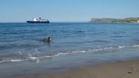 Eileen Christie Dog in the water at Ballycastle beach