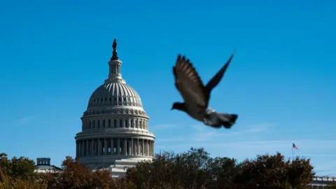 Sarah Silbiger/Getty Images Capitol Hill Dome