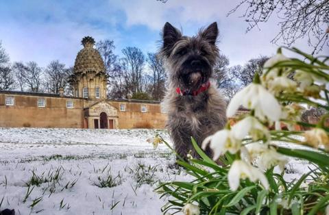 Your pictures of Scotland: 16 to 23 March - BBC News