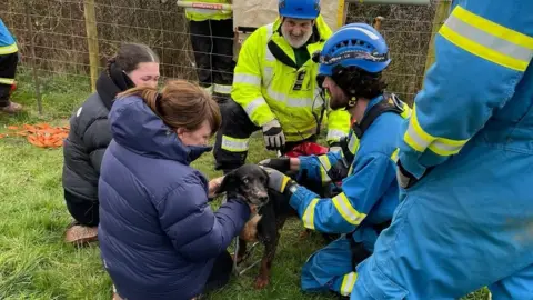 Beer Coastguard Rescue Team Cooper the dog back with his owners