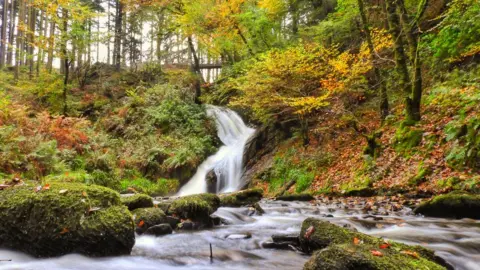 Guto Jones Peiran Falls ,Hafod Estate, Pont Rhydygroes