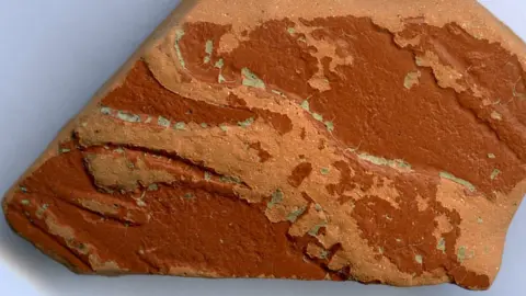 Rubicon Roman Pottery shard