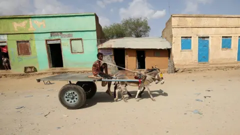 Reuters A man rides a donkey cart in Badme, a territorial dispute town between Eritrea and Ethiopia currently occupied by Ethiopia, June 8, 2018