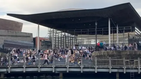 Crowds at the Senedd