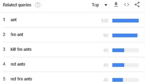 Google Trends Related queries: ant; fire ant; kill fire ants; red ants; red fire ants