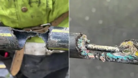 Openreach Chewed phone and broadband cables