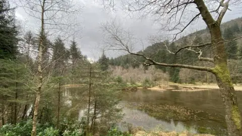 Wild Ennerdale Ennerdale Valley