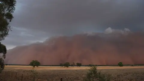 MAGDALENA BLAZEK Huge dust cloud seen on the horizon in the town of Trundle in New South Wales