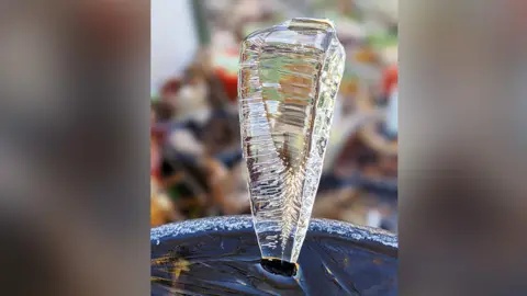 Sarah Watts Ice spike coming from a bird bath