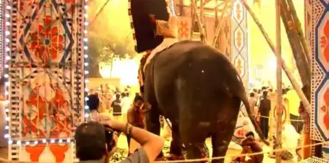 Sangita Iyer  An elephant forced to stand amid a firework display