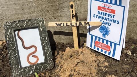 Tesco customer finds a worm in his cucumber and his complaint goes