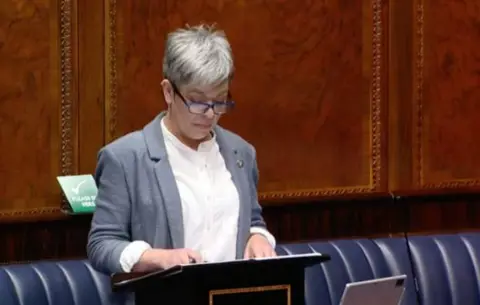 NI Assembly Clare Bailey speaking at Stormont