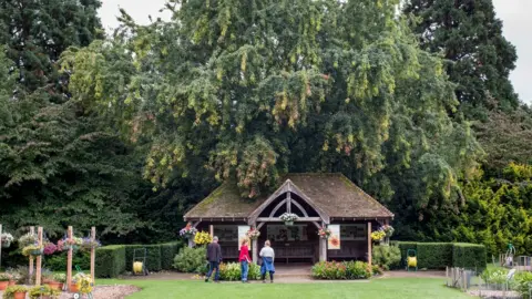 RHS View of trees near the A3