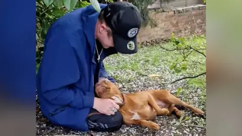 Moment Bella reunited with owner