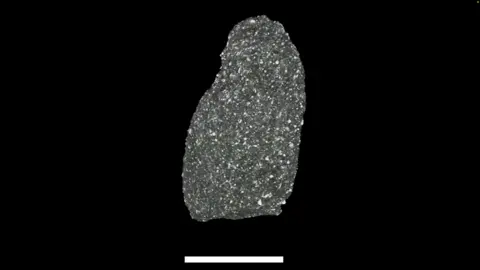 NASA CT scan of a millimetre-sized grain