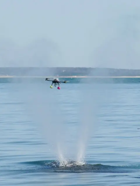 Véronique LaCapra/WHOI Drone over blowhole