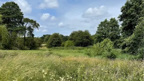 Debbie Bigg Archers Green reserve