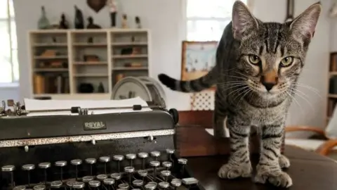 Reuters A six-toed cat descended from a tomcat named Snow White that the acclaimed American author Ernest Hemingway adopted while he lived at the property in Key West, Florida, in the 1930s