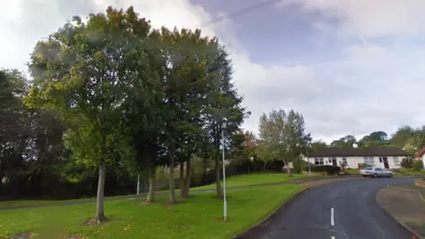 Google Trees and hedges at Baragh Gardens in Ballinamallard