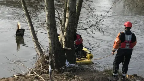 RSPCA Bird rescue