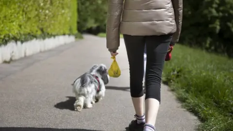 Getty Images Dog walker