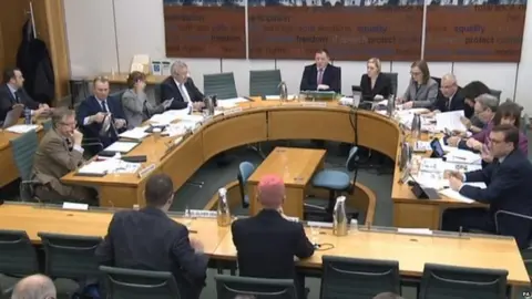 PA Christopher Wylie giving evidence to MPs