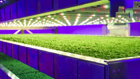 IGS IGS vertical farm