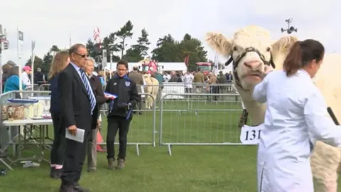 BBC Newbury Show