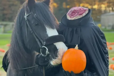 Matlock Farm Park Horse and headless horseman at Matlock Farm Park